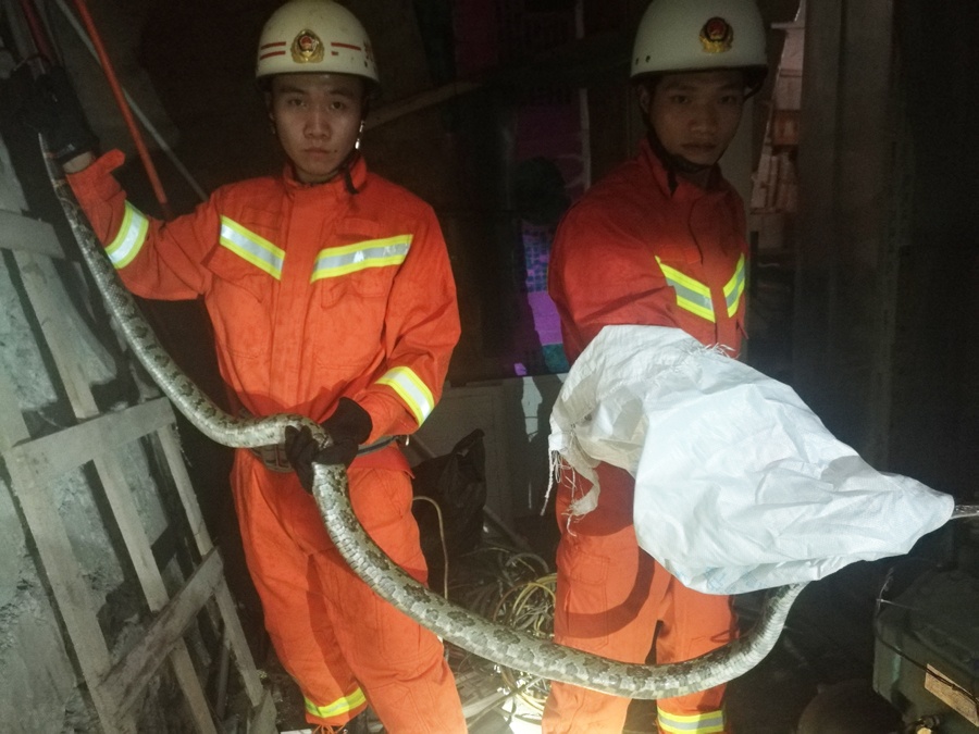 ������ͼ�����񷿾��ֳ�Լ3�״���