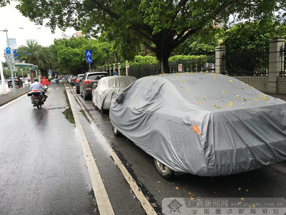 南宁:滨湖路等三条道路实施车辆限时停放措施