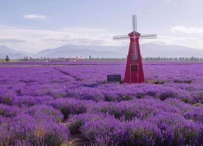 ���硤�������ιȵ��߽�޹�²ݹ������νڿ�Ļ