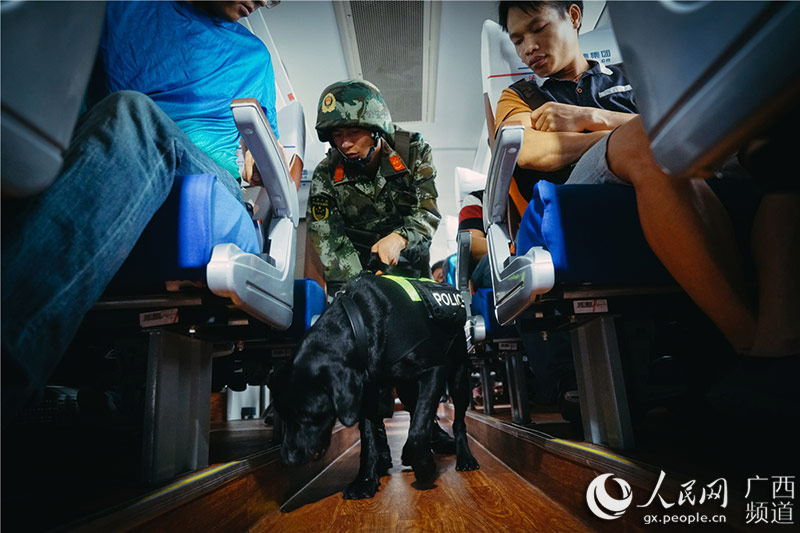 工作起来,警犬佳豪不放过对任何可疑气味的辨识