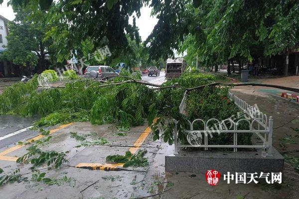 台风渐远华南仍有暴雨 【山东等地】防强降雨