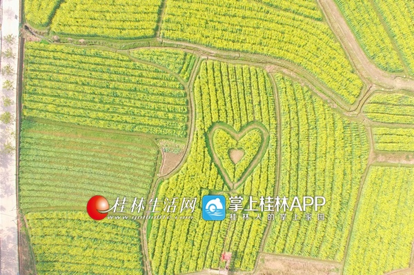 2019nV南县域经济_福建省县域经济评价结果揭晓 十强县有没有你故乡 房产厦门站 腾讯网