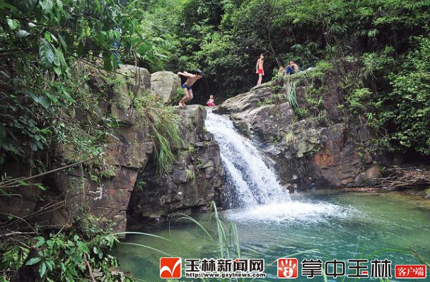 博白林场射广林区那山那水那林森林康养好地方