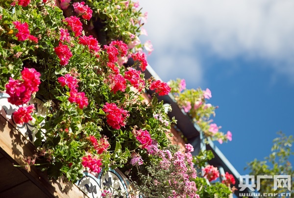 带一本书,来花筑客栈做一场梦-广西新闻网