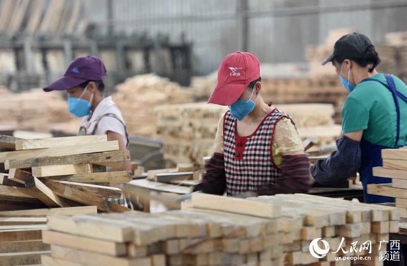 近年,广西三江侗族自治县依托竹木资源优势,大力推行"公司 基地 农户"