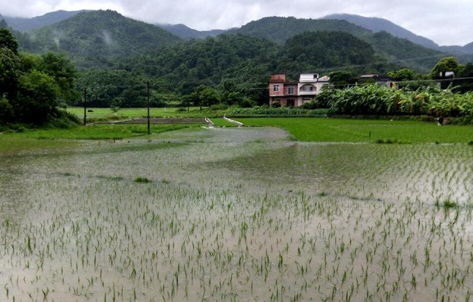 防城港防城区风雨大作 农田被淹围墙倒塌