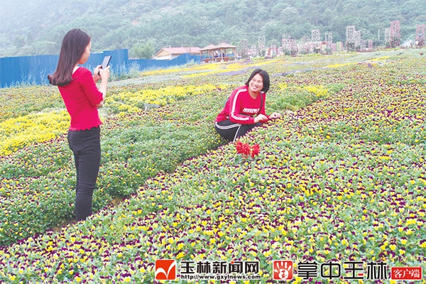 陈立萍 通讯员 甘猛棠)于去年7月1日开工建设的北流市新圩镇梧村狮子