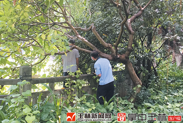 经警方勘查,已排除他杀,初步判断男子是因自身原因自缢身亡