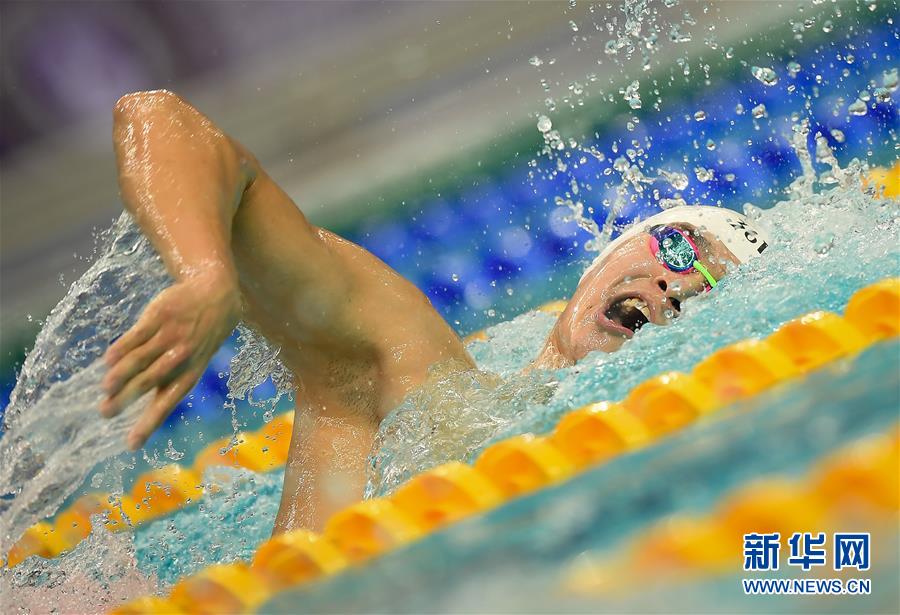 高清组图:孙杨晋级全运会男子800米自由泳决赛