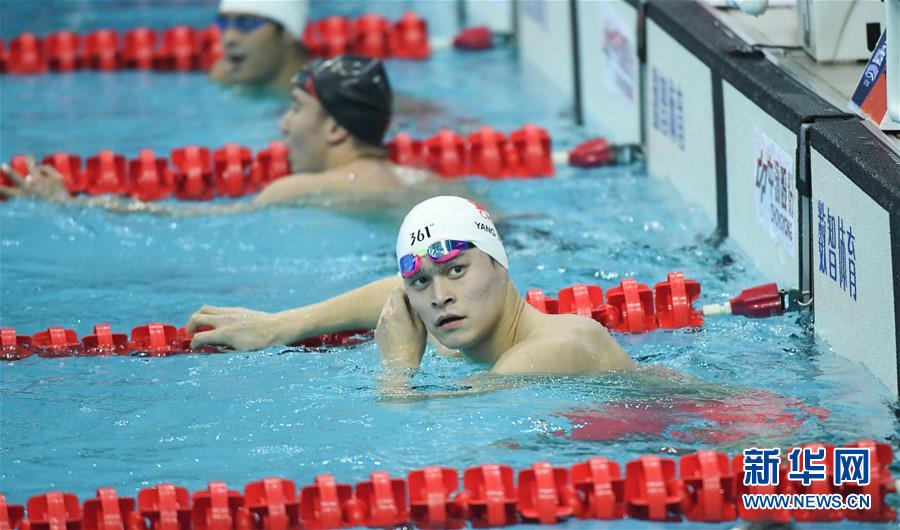 高清组图:孙杨晋级全运会男子800米自由泳决赛