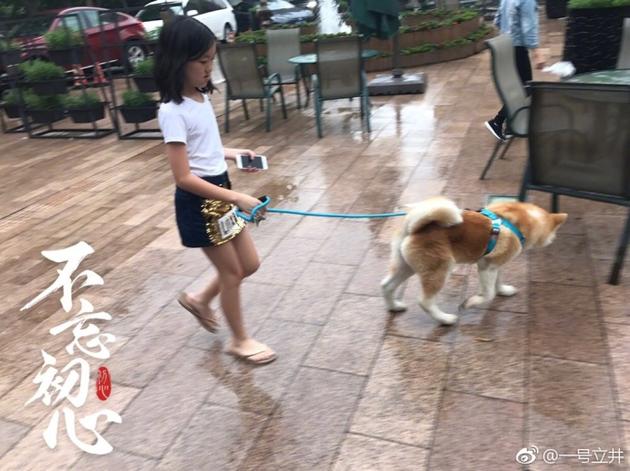 李亚鹏晒李嫣牵爱犬散步照片 网友:很有气质!