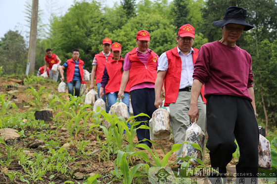 柳州地税精准扶贫工作侧记|手机广西网