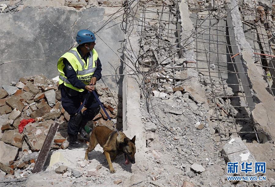 墨西哥地震遇难人数升至58人