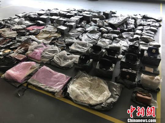 海关查获重庆最大宗行邮渠道侵权案(图)