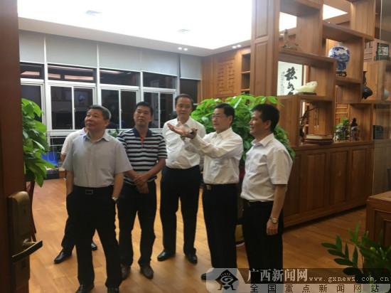 广东省副省长陈云贤考察广西云星集团