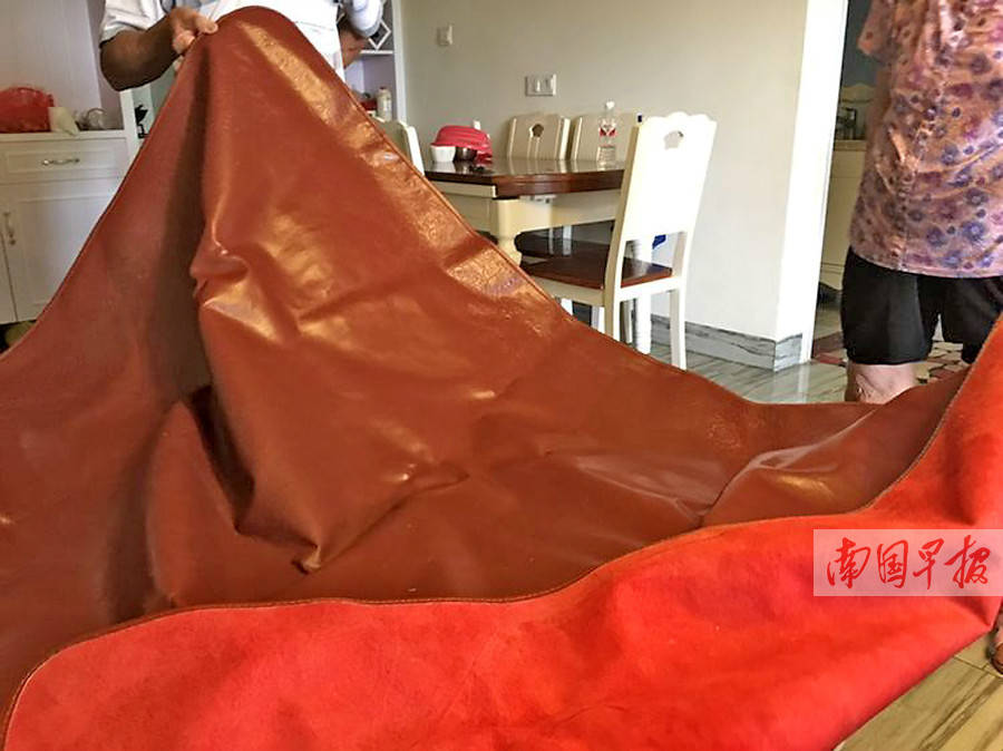 9月26日焦点图:南宁八名飙车嫌疑人被刑拘