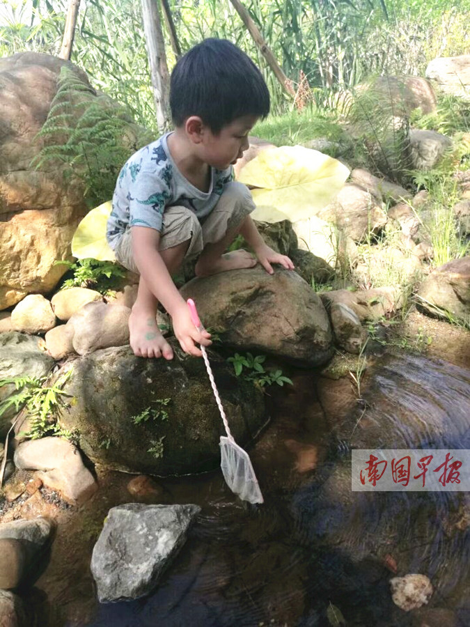 回乡游寻找童年回忆 度假从"看世界"转向"慢生活"
