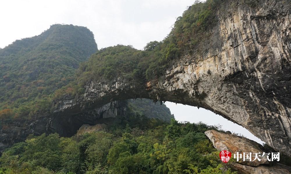 桂林平乐:稻谷金黄花儿俏 秋染青龙月亮山(组图)