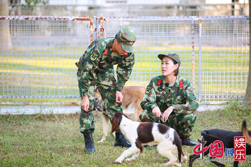 《奇兵神犬》第一次亲密接触 杨烁兴奋张馨予焦灼(8)