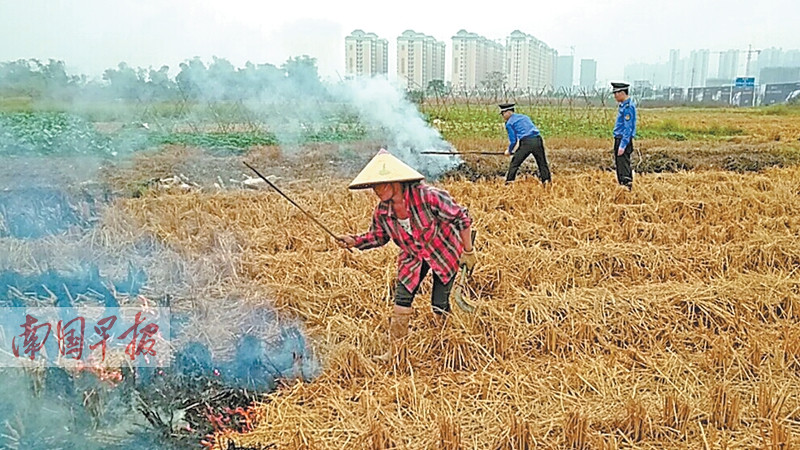 南宁加强整治露天焚烧行为 最高可被罚500元