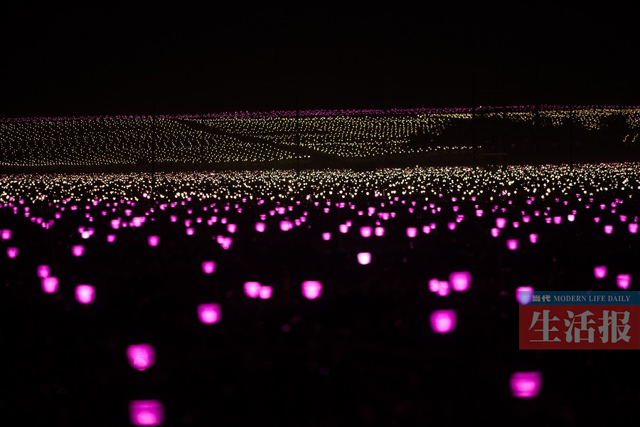 武鸣火龙果基地亮起数万盏灯 场面壮观美不胜
