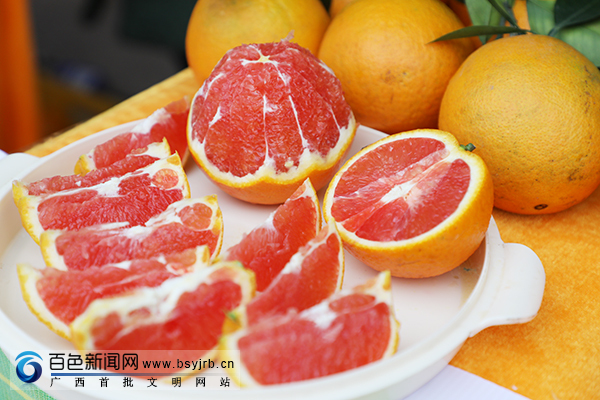 首页 文化长廊 正文 在德保脐橙节活动现场,来自德保各个基地的