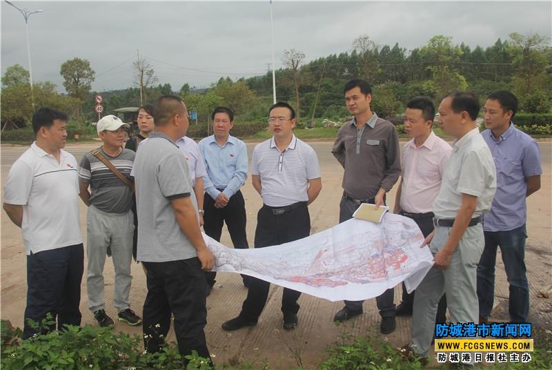 东兴市市长陈建林(右五)调研项目选址工作 曾范华 摄