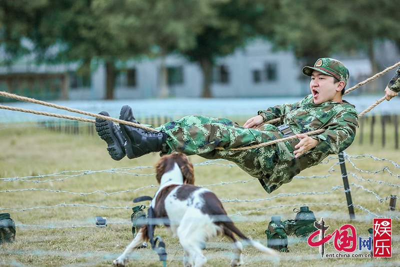 《奇兵神犬》张大大雷区救犬遭遇大挑战-广西新闻网