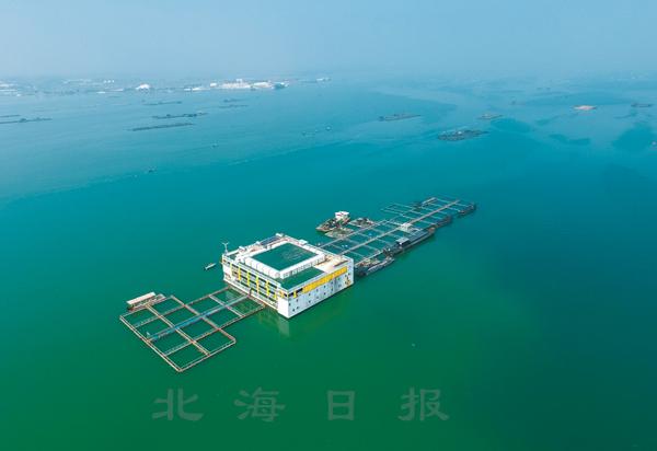 升级!北海15个现代特色农业示范区获自治区认