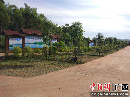 生态停车场。 目前,西津国家湿地公园建设取得了良好的成效。公园全面完成沙埠管理服务区和龙泉潭保护站建设 ,包括沙埠管理服务区游客集散基地、科普宣教活动基地两栋楼建设和室内外装修、供电、饮用水、绿化、生态停车场、巡护步道、亲水平台、环岛路等,目前全部设施已投入正常使用。这让西津国家湿地公园成为了横县又一亮丽的景点,成为了游客的新宠儿。 滔滔郁江养育了一代又一代的横县人民,而西津湿地是郁江的重要组成部分,也是横县的主要饮用水源,兼有发电、航运、防洪、灌溉、养殖、旅游等综合效益。指点邕江变古今,西津灯