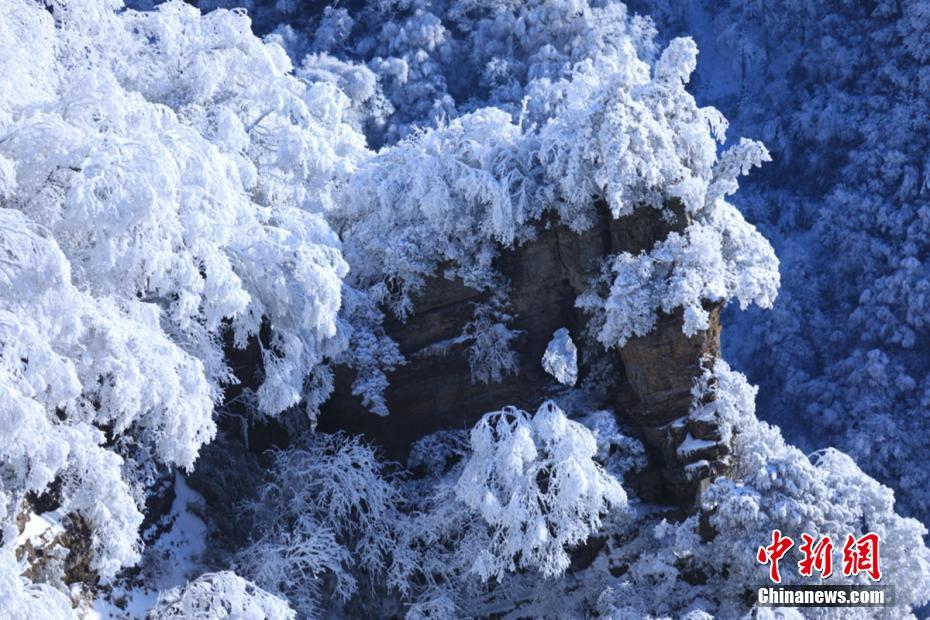 光雾山雪景如画.肖洪波 摄