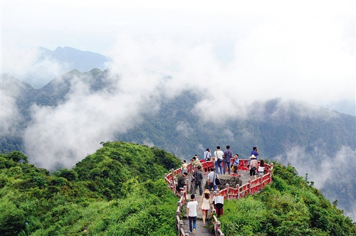 导航              森林生态旅游须加强品牌建设 游人在大明山森林