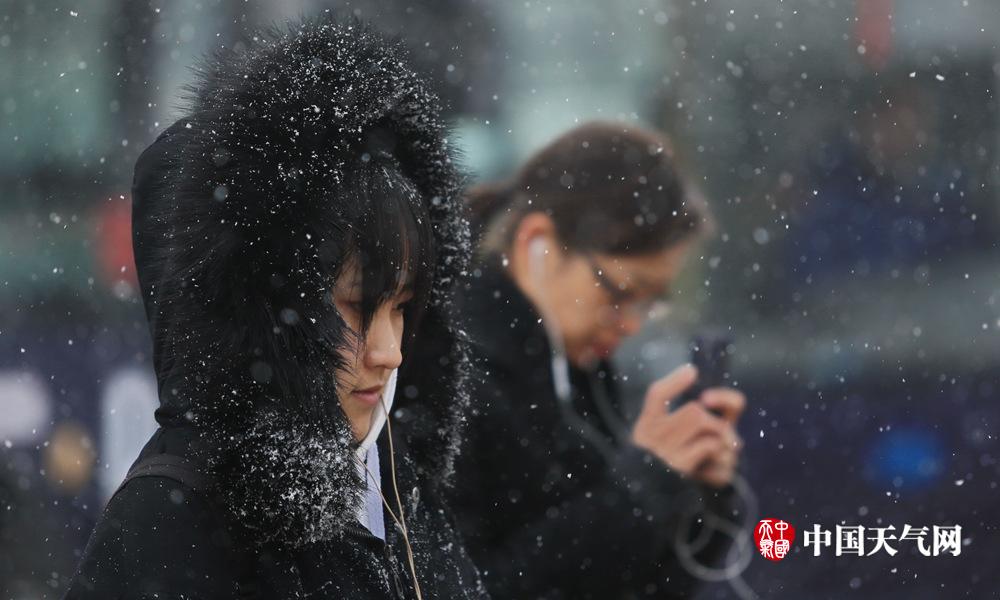 三九尾日沈阳漫天飘雪似柳絮