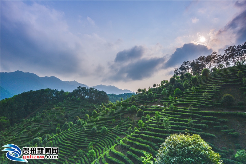 昭平有望获广西特色旅游名县称号