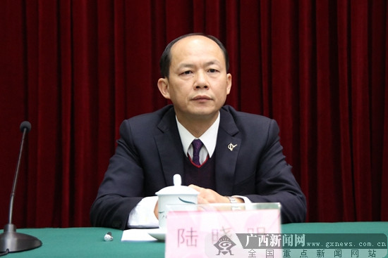 自治区交通运输厅副厅长陆晓明.广西新闻网记者 冼妍杏 摄