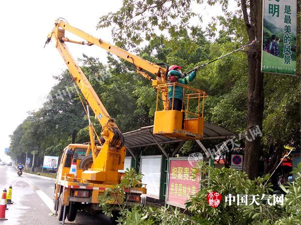贵港冬日暖阳 绿化树木修剪忙