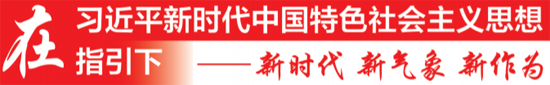 岑溪市财政收入_岑溪市：上半年税收收入占财政收入七成多(2)