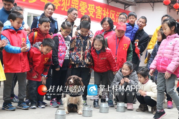 叠彩警方开展法制讲堂系列活动 打响双提升攻