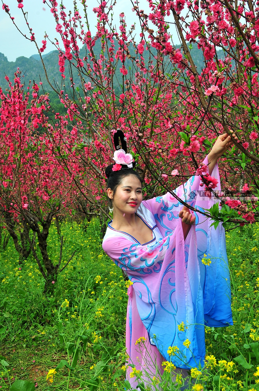 广西新闻网红豆社区网友 摄台湾女歌手卓依婷到花花大世界桃花岛 广西