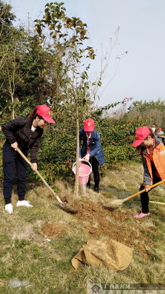 崇左市保险志愿者积极参与2018年植树节活动