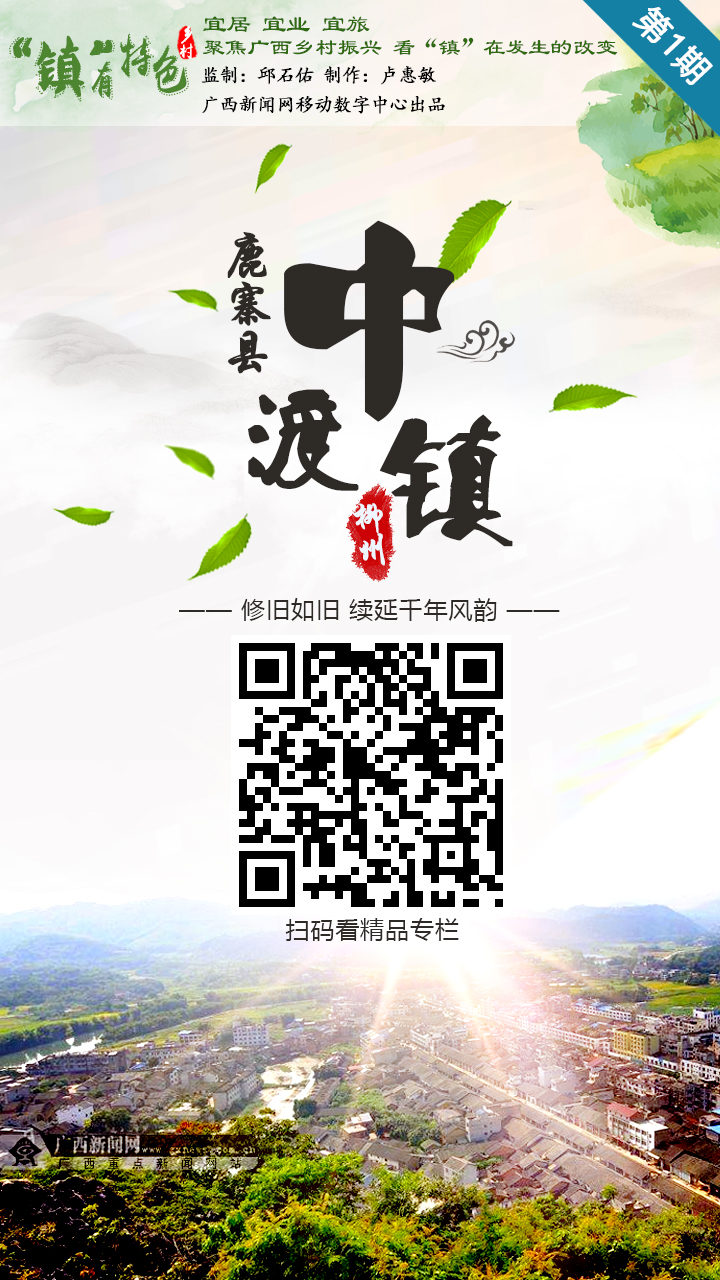 聚焦广西乡村振兴 看"镇"在发生的改变 (2)