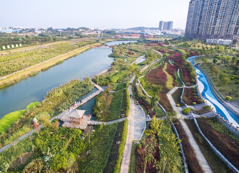 如今,那考河湿地公园已是南宁建设海绵城市的标杆公园,也是南宁的人居