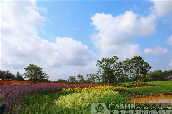 园博园将于8月试运营 八大景观展现原野趣味