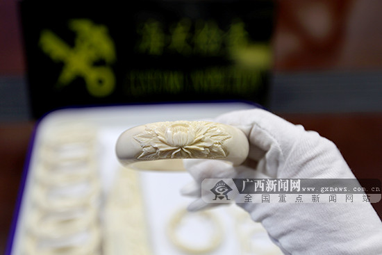 南宁海关三年查办83起濒危动植物走私案(组图)