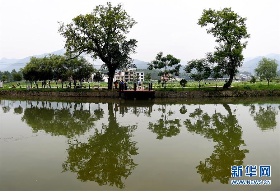 ����ᣩ��2�������ֳ���