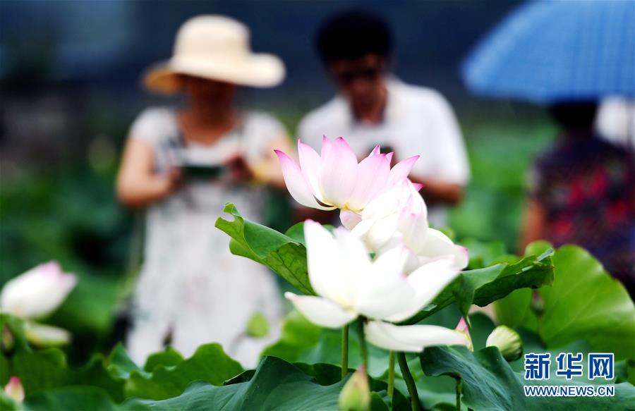 ����ᣩ��4�������ֳ���