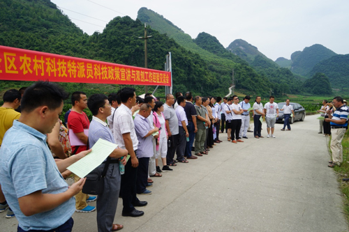 学员们在宜州区德胜镇加保村砂糖橘种植基地开展现场教学