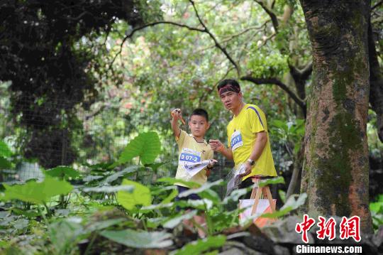 图为运动员在山林中 主办方供图 摄 南粤古驿道定向赛从化站的赛事分设公开组与体验组,参赛运动员共有1402人,其中专业组771人,体验组631人,来自粤港澳大湾区,及湖北、福建、陕西、江西等多地运动员参赛,赛事还吸引了来自美国、斯里兰卡、日本等外国留学生参加。