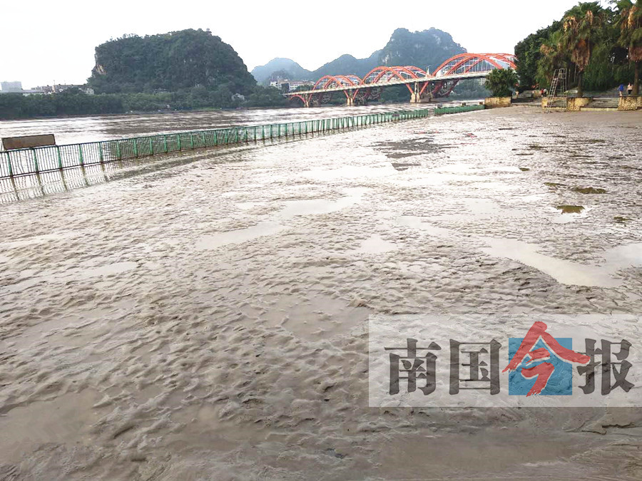 6月24日清晨,在柳州市滨江东路金沙角人工沙滩晨练的市民发现,沙滩上