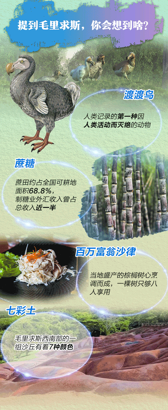 习主席到访的这个国家,中国春节是法定假日-广